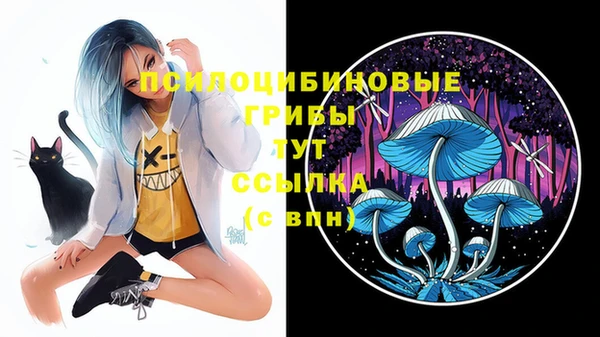 гашиш Аркадак